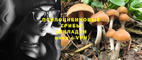 метадон Мегион