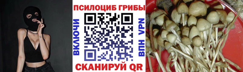 Галлюциногенные грибы MAGIC MUSHROOMS  Мыски 