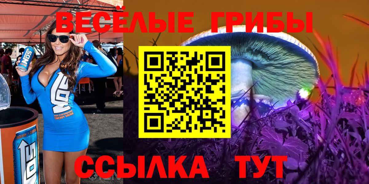 Псилоцибиновые грибы GOLDEN TEACHER  Вход с VPN  Мыски  Галлюциногенные грибы GOLDEN TEACHER 
